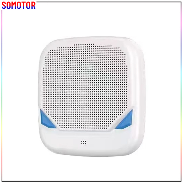 Multiple Devices Work As One System Big Boombox 2 Powered Wireless Loudspeaker TWS Wall Mount Speaker with Bluetooth