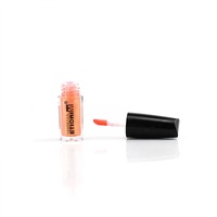 Fournisseur de gloss à lèvres en marque privée OEM ODM, emballage imperméable, longue tenue, liquide minéral, 15g