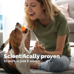 Suplemento Masticable para Cadera y Articulaciones de Perros, Marca Privada OEM/ODM, para el Cuidado de la Salud de las Mascotas, Mejora la Salud de las Articulaciones y Apoya la Movilidad - Product Image 4