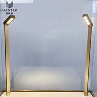 Vitrina de Exhibición de Joyería de Vidrio de Lujo MASTER con Luces LED para Exhibición en Tiendas Minoristas y Promoción en Boutiques
