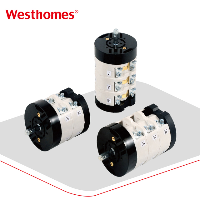 LW31 2P 3P Universal Transfer Switch Dual Power Switch Rotating Three Speed Two-section 75A 250V Combination Cam Switch