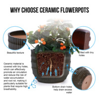 Pot de fleurs de luxe pour plantes d'intérieur, pot moderne en céramique, pots de fleurs en céramique pour l'extérieur, grand pot en céramique