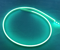 Bande LED néon étanche 6*16mm 1010 DC24V, indice de protection IP67, corps en silicone pour plafond et armoire domestique
