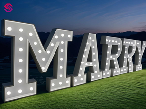 Bán Buôn Tùy Chỉnh <span class=keywords><strong>LED</strong></span> Đầy Màu Sắc Bảng Chữ Cái Chữ Đứng Miễn Phí 3ft 4ft 5ft Khổng Lồ Dấu Hiệu Đèn Cho Ngoài Trời Công Ty Trang Trí - Product Image 3