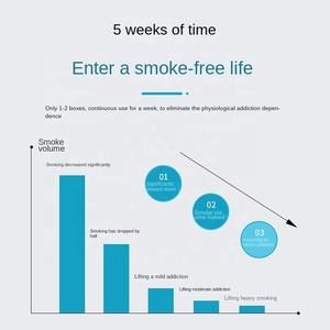 ハーブ純正メンズ禁煙代替パッチ（肺グラフィックデザイン入り） - Product Image 4