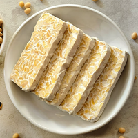 Kemasan jumlah besar Tempe kedelai Premium, alternatif daging Vegan berbasis tanaman Protein tinggi, makanan beku