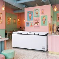Congelador Comercial Eléctrico Mecánico de 3 Puertas, de Una Sola Temperatura, Sin Escarcha, con Enfriamiento por Aire, para Uso en Supermercados, Personalizable