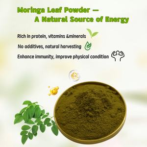 OEM сервис объемный мешок для напитков порошок листьев Моринги 100% натуральный органический порошок Моринги - Product Image 4