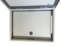 Gabinete de Red de Acero Galvanizado con Nivel de Protección IP65 e IP66, Caja de Distribución Exterior Impermeable con Puerta Interior