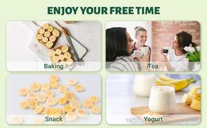 Healthy Bulk Packaging Vietnam Grown BRCGS ISO Free Sample FD Freeze-Dried Crispy Sliced Fruit Natural Sweetness <b>Banana</b> Snack - Product Image 4