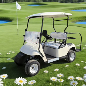 Carrito de Golf Eléctrico de Alta Resistencia, Motor de 48V 5KW, Venta Directa de Fábrica para Campos de Golf Grandes y Transporte Comercial - Product Image 6