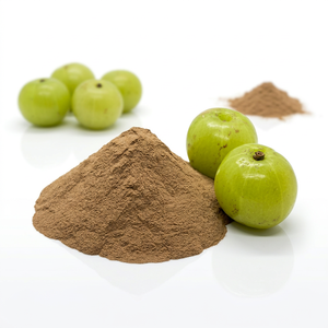 Fournisseur en gros de poudre de fruit d'Amla en provenance d'Inde - Product Image 1