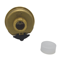 Vertical Volumetric Water Meter Complete Brass Body IP68 Cold Water Prepaid Water Meter DN20 OEM Customizable R200 Factory Price