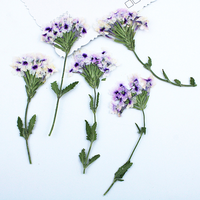 Fleur de Verveine Naturelle avec Branches pour Scrapbooking, Résine Époxy, Fleur Pressée Véritable Écologique DIY