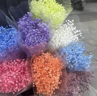 Leuchtend Bunte Getrocknete und Konservierte Gypsophila-Blüten für Weihnachtliche Heimdekoration zum Vorteilspreis