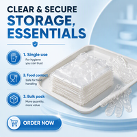Gants jetables en plastique PE transparent pour usage domestique, prix d'usine, vente en gros, avec HDPE personnalisé