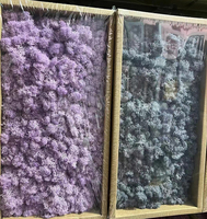 2024 Home Decor Vente Chaude Produits Fabricants Bureau Décor Vert Réel Naturel Préservé Mur Mousse Stabilisé