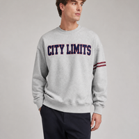 Sweat-shirt à col rond personnalisé gris avec lettres et manches rayées OEM ODM