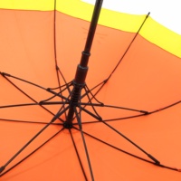 Parapluie droit IdealRain imprimé en pongé, design moderne, durable, coupe-vent, baleines en fibre de verre, manche en bois, idéal pour un cadeau