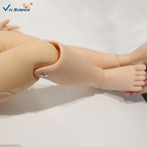 แบบจำลองการใส่สายสวนปัสสาวะเด็ก ทำจากพีวีซี ทนทาน ขนาดเท่าคนจริง สำหรับการศึกษาทางการแพทย์และการฝึกอบรมฉุกเฉิน - Product Image 5