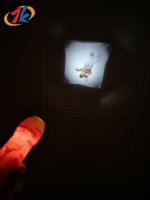 Projecteur portable pour enfants avec disques d'images interchangeables pour raconter des histoires, jouet éducatif lumineux pour l'apprentissage