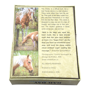 Tùy Chỉnh Flashcards Nghiên Cứu Thẻ <span class=keywords><strong>Flash</strong></span> Các Nhà Sản Xuất Bán Buôn Học Tập Kit Dịch Vụ In Ấn Cho Trẻ Em Giáo Dục Với Hộp - Product Image 2