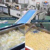 Chaîne de traitement industrielle Fengxiang pour l'épluchage, le battage, le lavage, la blanchiment et le séchage à l'air du maïs frais et du maïs doux