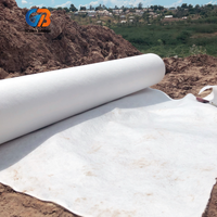 Géotextile non tissé en PP anti-vieillissement pour l'ingénierie marine et la restauration des lignes côtières - Tissu de déshydratation et de filtration des boues