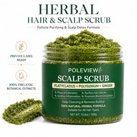 Grossiste en gommage naturel pour cheveux et cuir chevelu au Platycladus, Polygonum et Gingembre, nettoyage en profondeur, fournisseur d'emballages personnalisés
