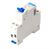 Disjoncteur miniature Chint NXB-40 6A 10A 16A 20A 25A 32A 40A DPN 1P+N 50HZ Courbe C D 4500A 4.5KA 4kV