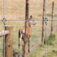 Clôture de ferme triangulaire galvanisée pour l'élevage de cerfs