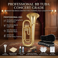 Factory Supply Brass Instrument All Kinds Brass Musical Instruments Bb Key Tuba for Sale