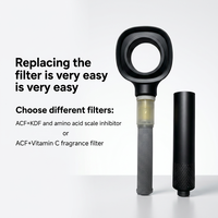 Filtre de Douche Anti-Chlore, Anti-Plomb, Anti-Impuretés, pour Eau Dure, avec Vitamine C pour Soins de la Peau et des Cheveux