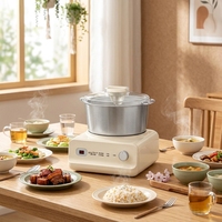 Mélangeur à pâte électrique multifonctionnel 5L en acier inoxydable 6 vitesses avec fonction de fermentation pour boulangerie artisanale, pain, pizza, raviolis