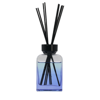 Diffuseurs de parfum en verre de luxe personnalisés avec logo, en gros, parfum de thé à la ROMARIN, diffuseur de parfum en gypse fantaisie, désodorisant d'air