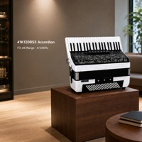 Accordéon professionnel 41 touches 120 basses avec sac de transport et interrupteur de tonalité pour concert et examen musical (pour adultes)