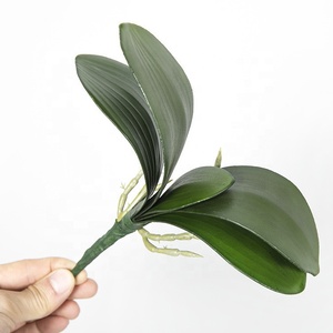 E-3102 Hojas <span class=keywords><strong>de</strong></span> Orquídea Artificiales Verdes al por Mayor, Hojas <span class=keywords><strong>de</strong></span> Orquídea <span class=keywords><strong>de</strong></span> Látex con Tacto Real para Arreglos Florales - Product Image 1