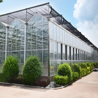 Serre multi-chapelles en verre pour la culture de fleurs et légumes – Système de serres agricoles