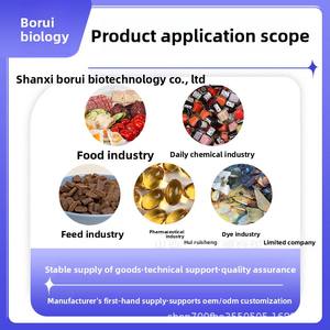<span class=keywords><strong>Abalone</strong></span> Peptide Borui Bio Ykx Merk Kleine Molecule Gemakkelijk Geabsorbeerd <span class=keywords><strong>Abalone</strong></span> Vlees Extract 100 G/zak Cosmetische Grondstof 99% - Product Image 2