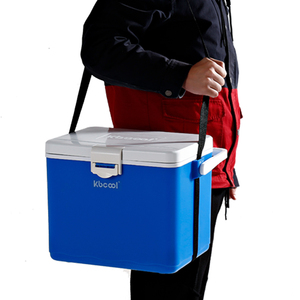 Nevera Portátil de Plástico de 15L con Capacidad para 24 Latas, para Bebidas, Cerveza, <span class=keywords><strong>Insulina</strong></span>, Mantiene de 2-8 Grados ℃   Nevera Portátil para Viajes - Product Image 3