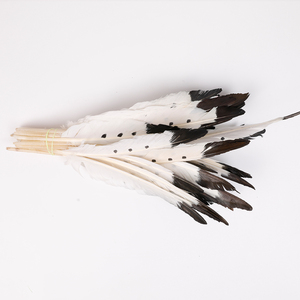 Nhuộm Lông Ngỗng Lông Đơn Nhiều Màu 10-12 Inch Cho Đảng & Lễ Hội Trang Trí Nội Thất - Product Image 4