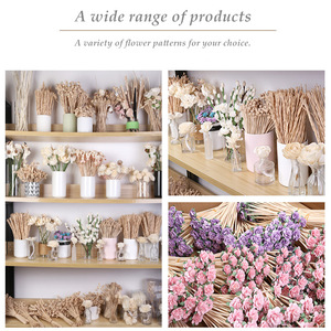 Newell Mây Garland Hệ Thống Bán Buôn Ngoài Trời Chất Lượng Tuyệt Vời Phòng Thơm Sậy Khuếch Tán Với Hoa Năng Lượng Mặt Trời - Product Image 6