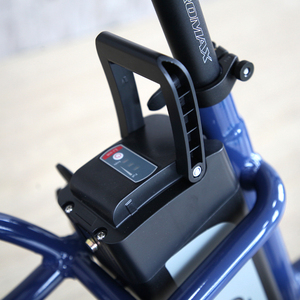 Tùy Chỉnh Kép Pin 20 Inch Xe Đạp Chất Béo 250W 750W Điện Hàng Hóa Xe Đạp Giao Hàng EU Kho Frontloader Hỗ Trợ Hàng Hóa E Xe Đạp - Product Image 6