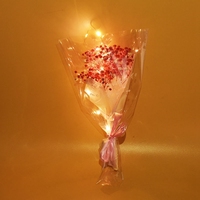 Asters éternels lumineux à LED Fleurs séchées Bouquet de confession Saison de remise des diplômes Envoyer des fleurs à l'enseignant Cadeau