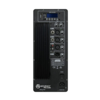 Módulo Amplificador de Potencia Profesional Accuracy Pro Audio AHH-180W Monocanal Clase AB para Altavoz Activo