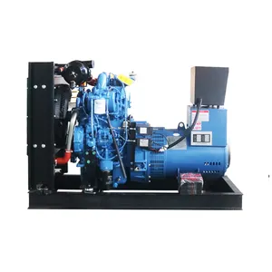 20kw 30kva diesel generator price 2 cylinder diesel generator