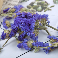 Bunga Forget Me Not Kering Grosir Bahan Baku Myosotis Sylvatica untuk Teh Herbal Kualitas Makanan Wu Wang Wo Ungu Alami