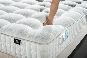 Extraordinary Master Latex Memory Mattresses