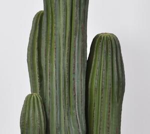 Mô Phỏng Tùy Chỉnh Kích Thước Nhỏ Cây Nhân Tạo Cửa Sổ Cây Cảnh Hiển Thị Xương Rồng Bionic Plant Props - Product Image 3