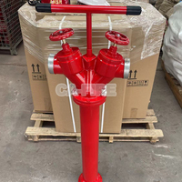 Hydrant extérieur durable DN100 à double sortie - Outil de lutte contre l'incendie à réponse rapide